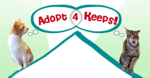 Adopt 4 Keeps Adopt 4 Keeps