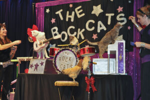 The Rock Cats The Rock Cats